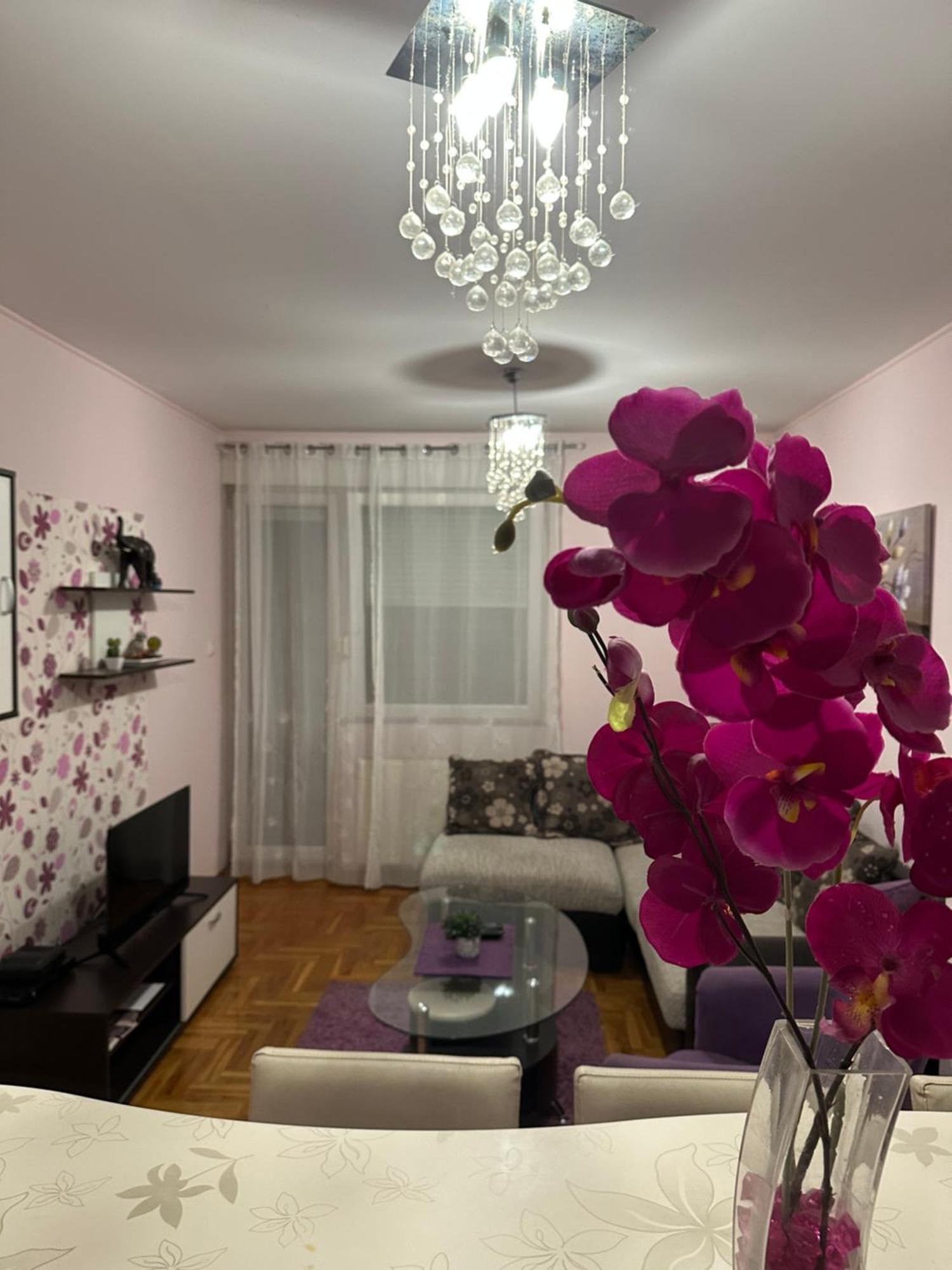 诺威萨Apartman Ivana公寓 外观 照片